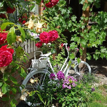 Romantisches Rosencottage Hofheim in Unterfranken 外观 照片