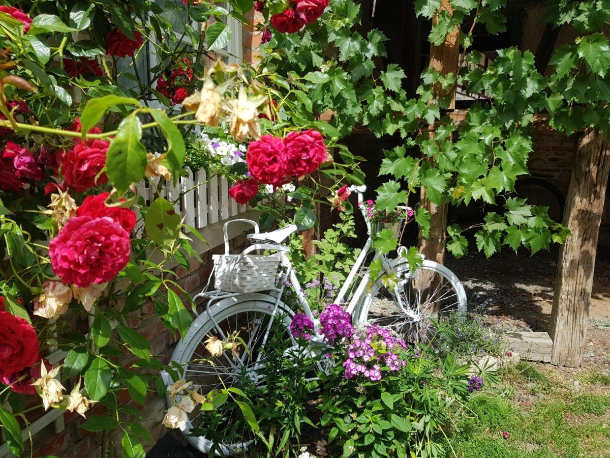 Romantisches Rosencottage Hofheim in Unterfranken 外观 照片
